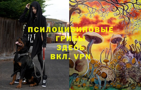 2c-b Ельня
