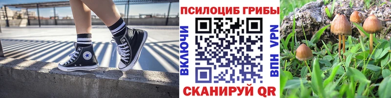 Купить где  Качканар  Псилоцибиновые грибы Magic Shrooms 